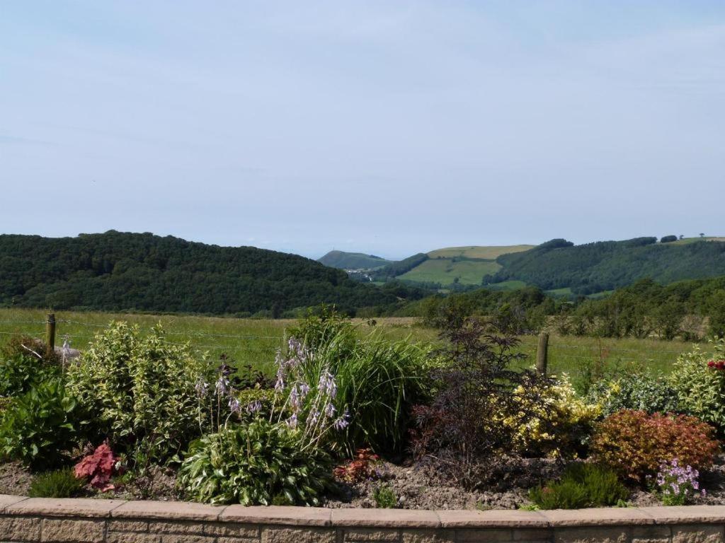 Aberystwyth Enlli Cottage Esterno foto